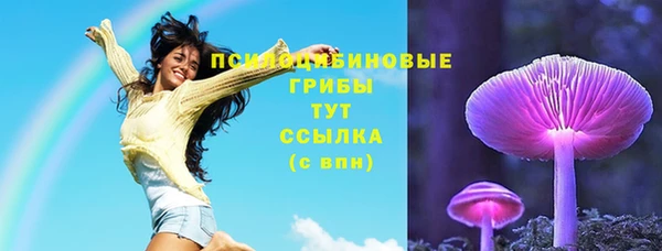 каннабис Богородицк