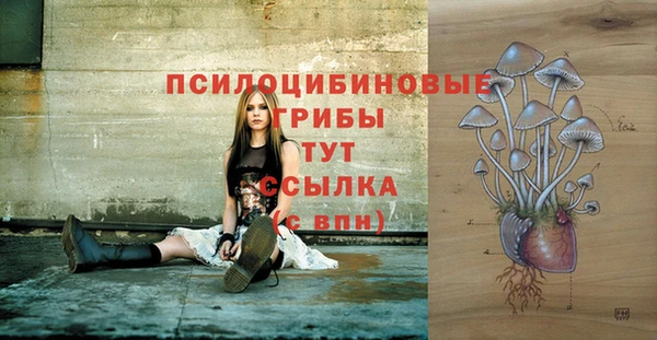 каннабис Богородицк